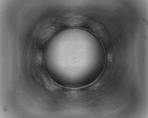 X0000101691300200807171426