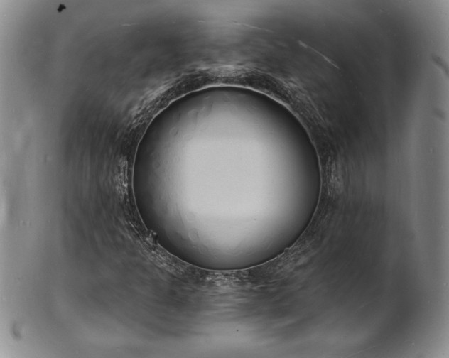 X0000101691301200807171426