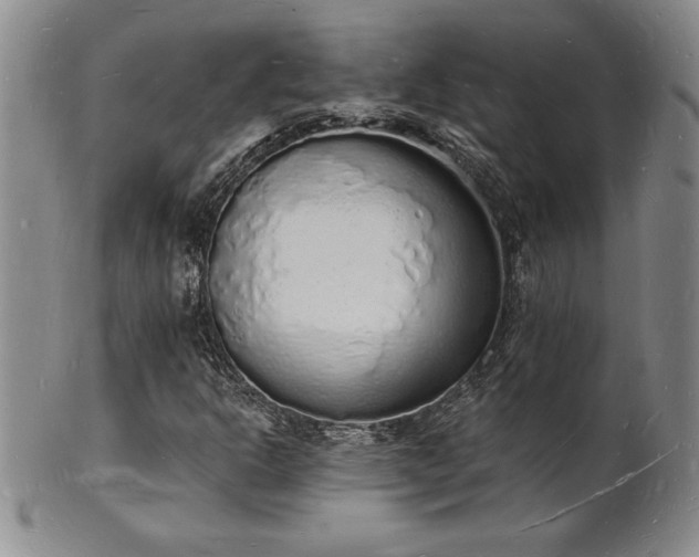 X0000101691302200807171426