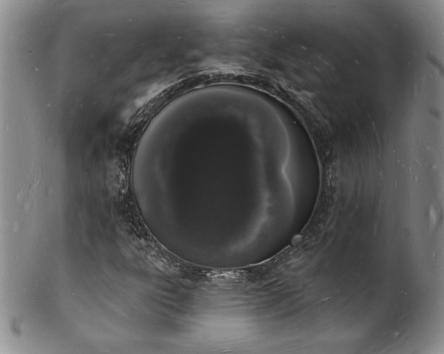 X0000101691303200807171426