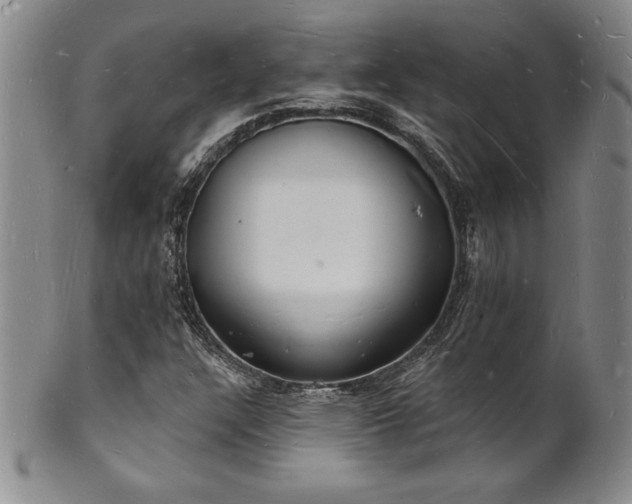 X0000101691304200807171426