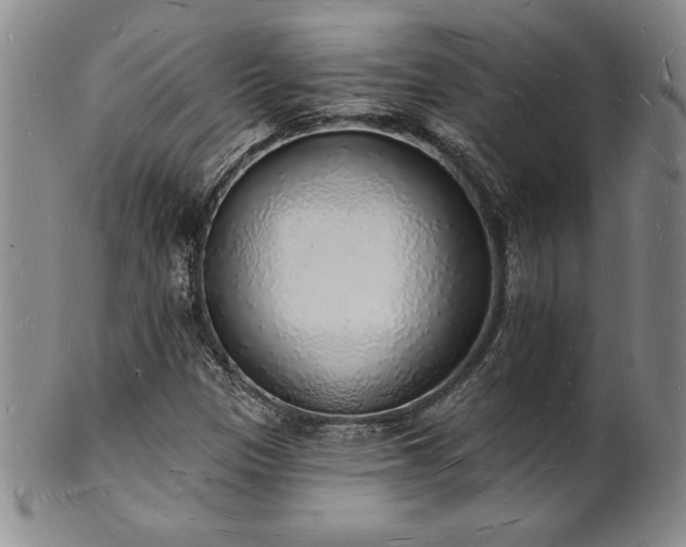 X0000101691305200807171426