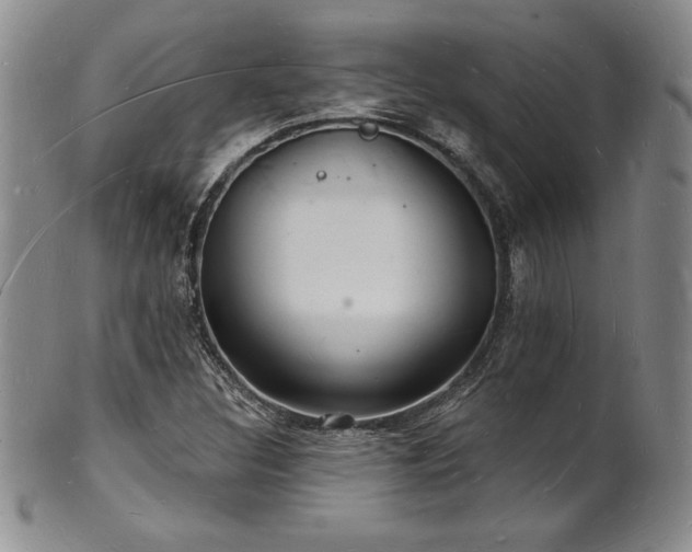 X0000101691308200807171426