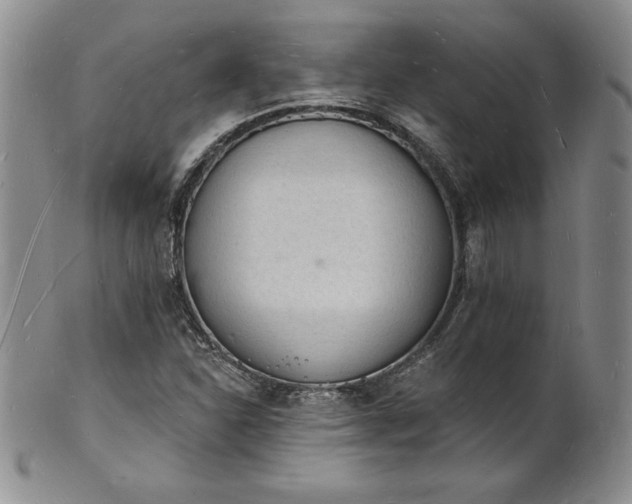 X0000101691310200807171426