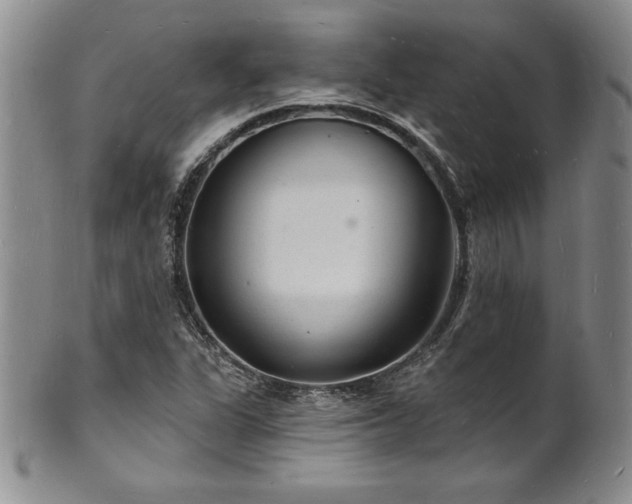 X0000101691311200807171426