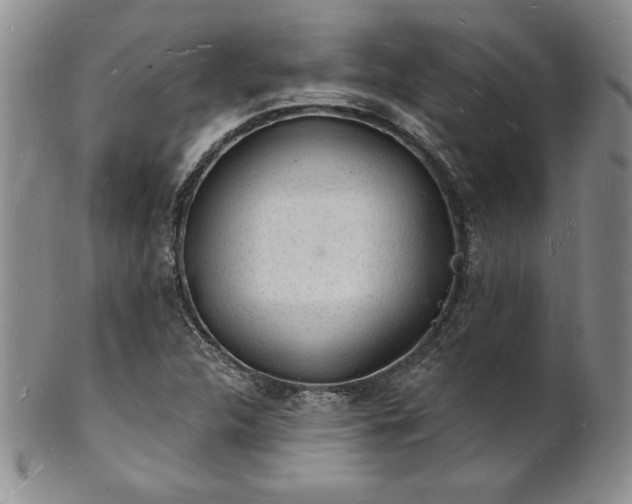 X0000101691312200807171426