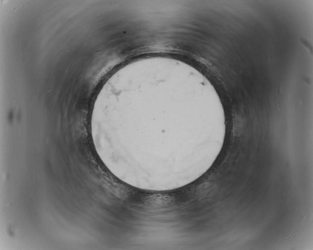 X0000101691314200807171426