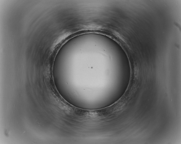 X0000101691315200807171426