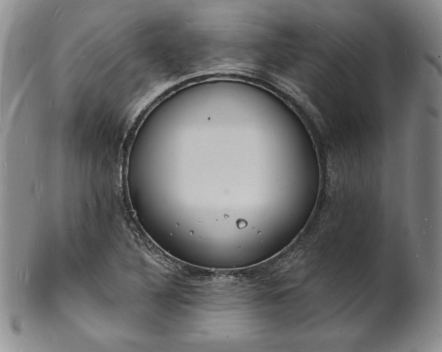 X0000101691316200807171426