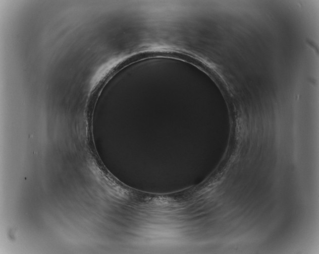 X0000101691319200807171426