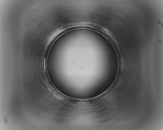 X0000101691320200807171426