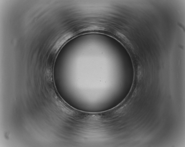 X0000101691321200807171426