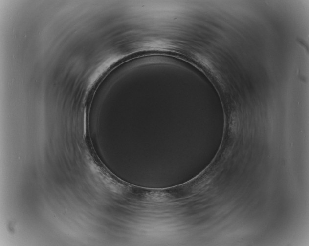 X0000101691323200807171426