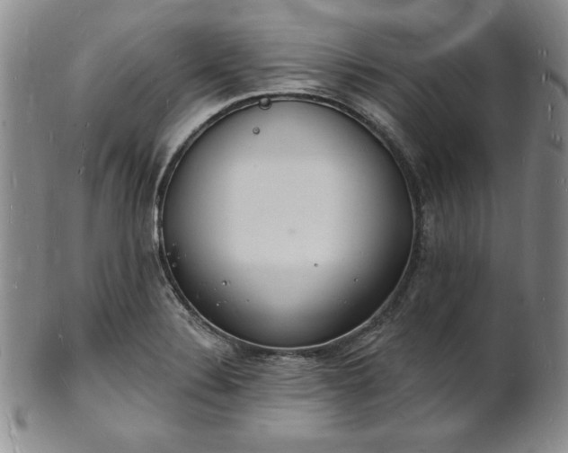 X0000101691324200807171426