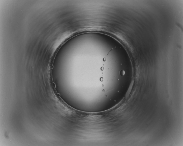 X0000101691325200807171426