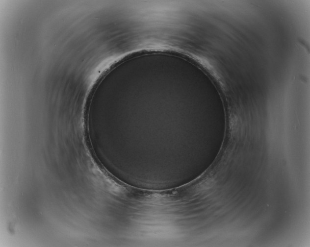 X0000101691327200807171426