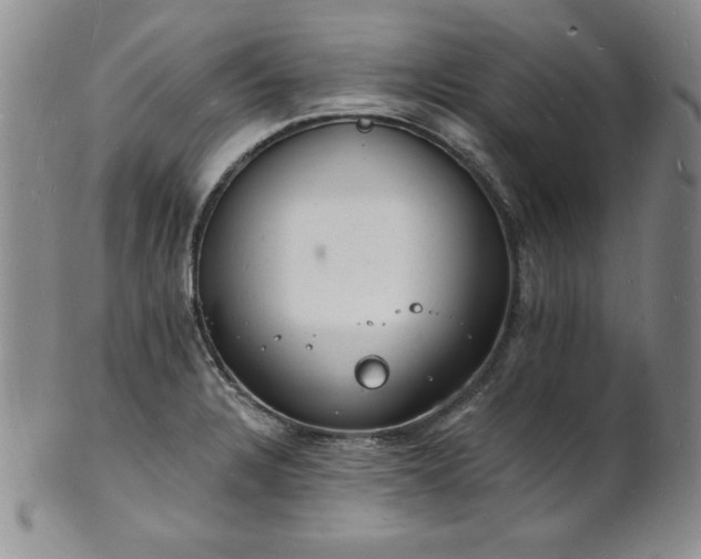 X0000101691328200807171426