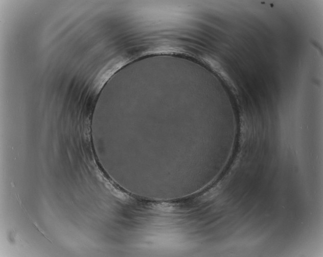 X0000101691329200807171426