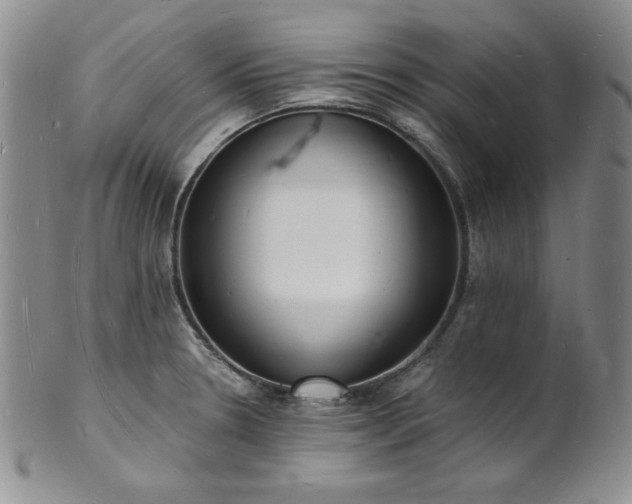 X0000101691330200807171426