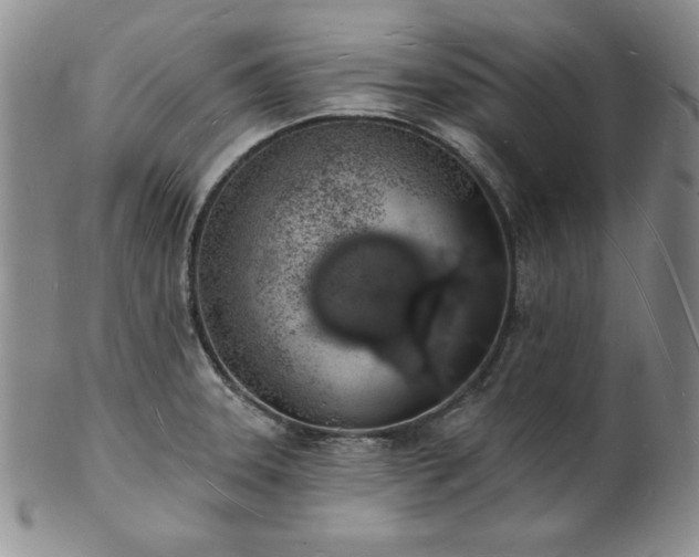 X0000101691331200807171426