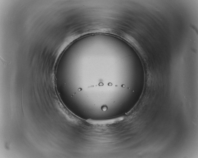 X0000101691332200807171426