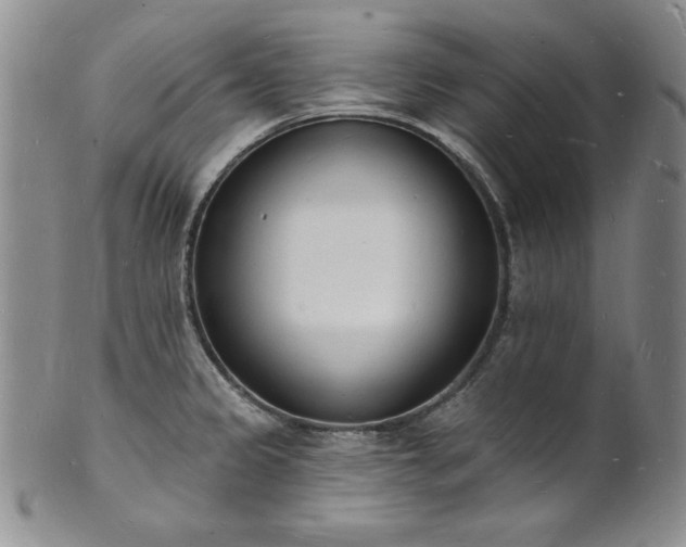 X0000101691333200807171426