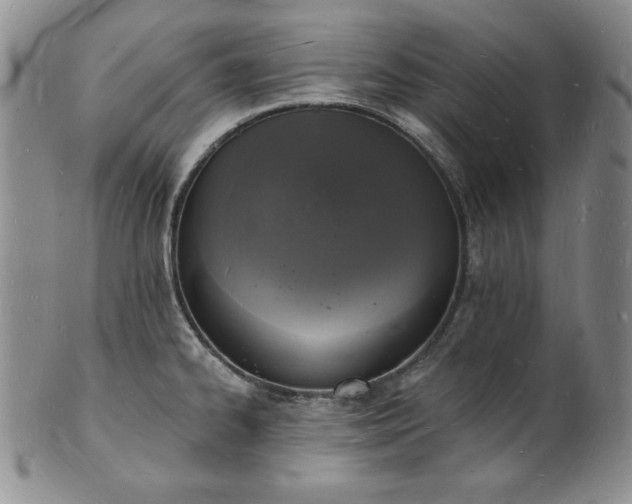 X0000101691334200807171426