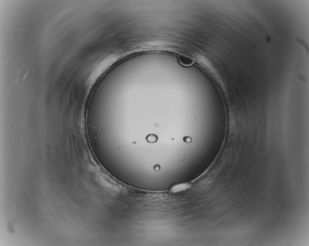 X0000101691336200807171426