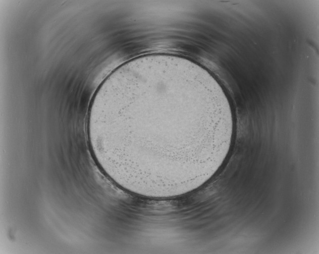 X0000101691338200807171426