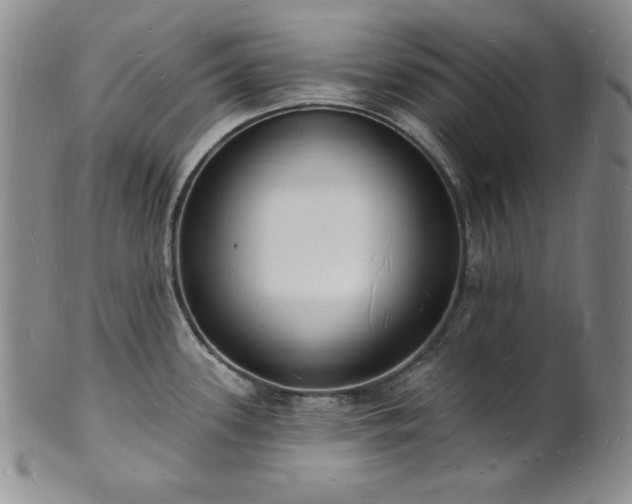 X0000101691339200807171426