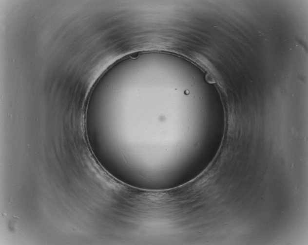 X0000101691340200807171427