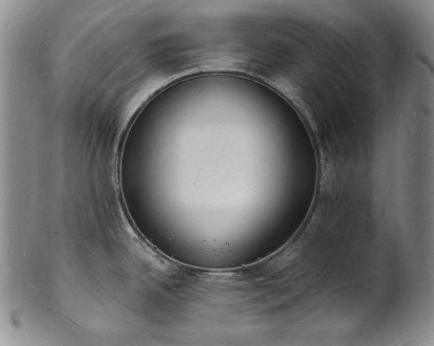 X0000101691342200807171427