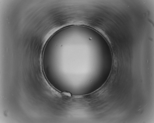 X0000101691343200807171427