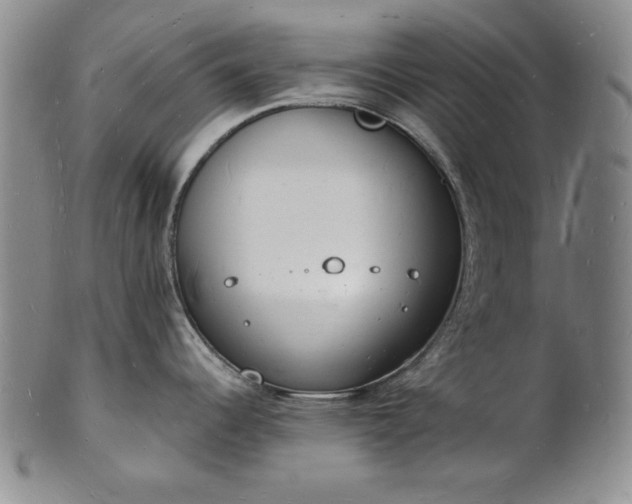 X0000101691344200807171427