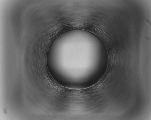 X0000101691345200807171426