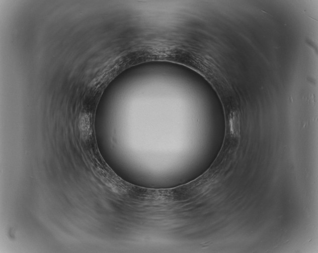 X0000101691347200807171426