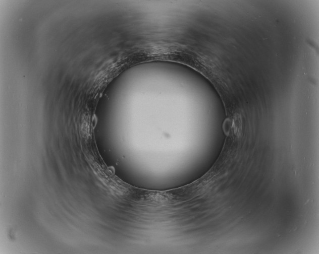 X0000101691348200807171426