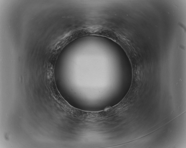 X0000101691349200807171426