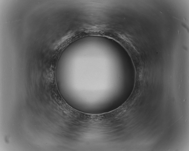 X0000101691350200807171426