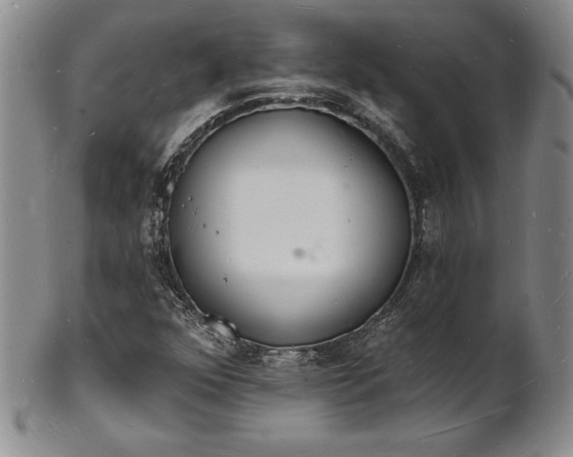 X0000101691352200807171426