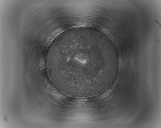 X0000101691353200807171426