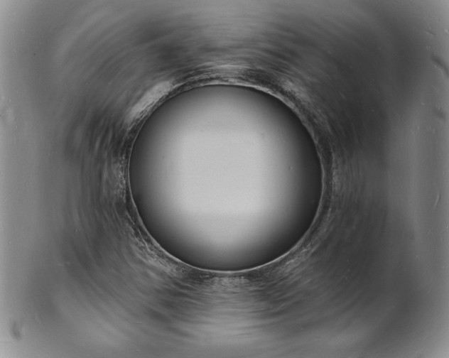 X0000101691354200807171426