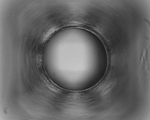 X0000101691355200807171426