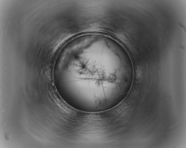 X0000101691356200807171426