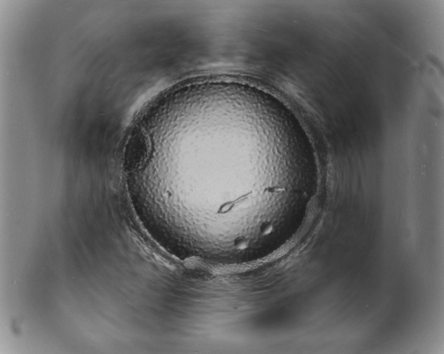 X0000101691358200807171426