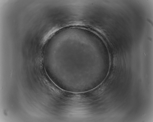 X0000101691359200807171426