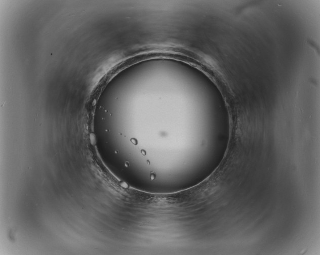 X0000101691360200807171426