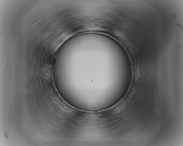 X0000101691361200807171426