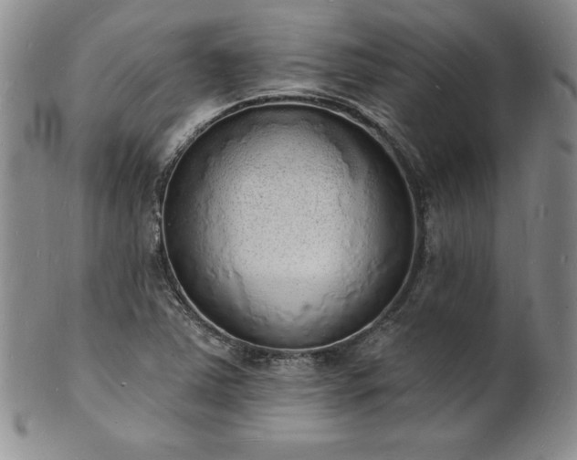 X0000101691363200807171426