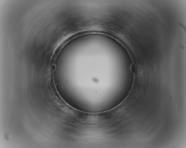 X0000101691364200807171426